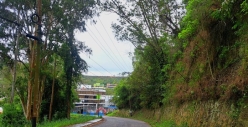 El camino de El Picacho en San Antonio de Los Altos